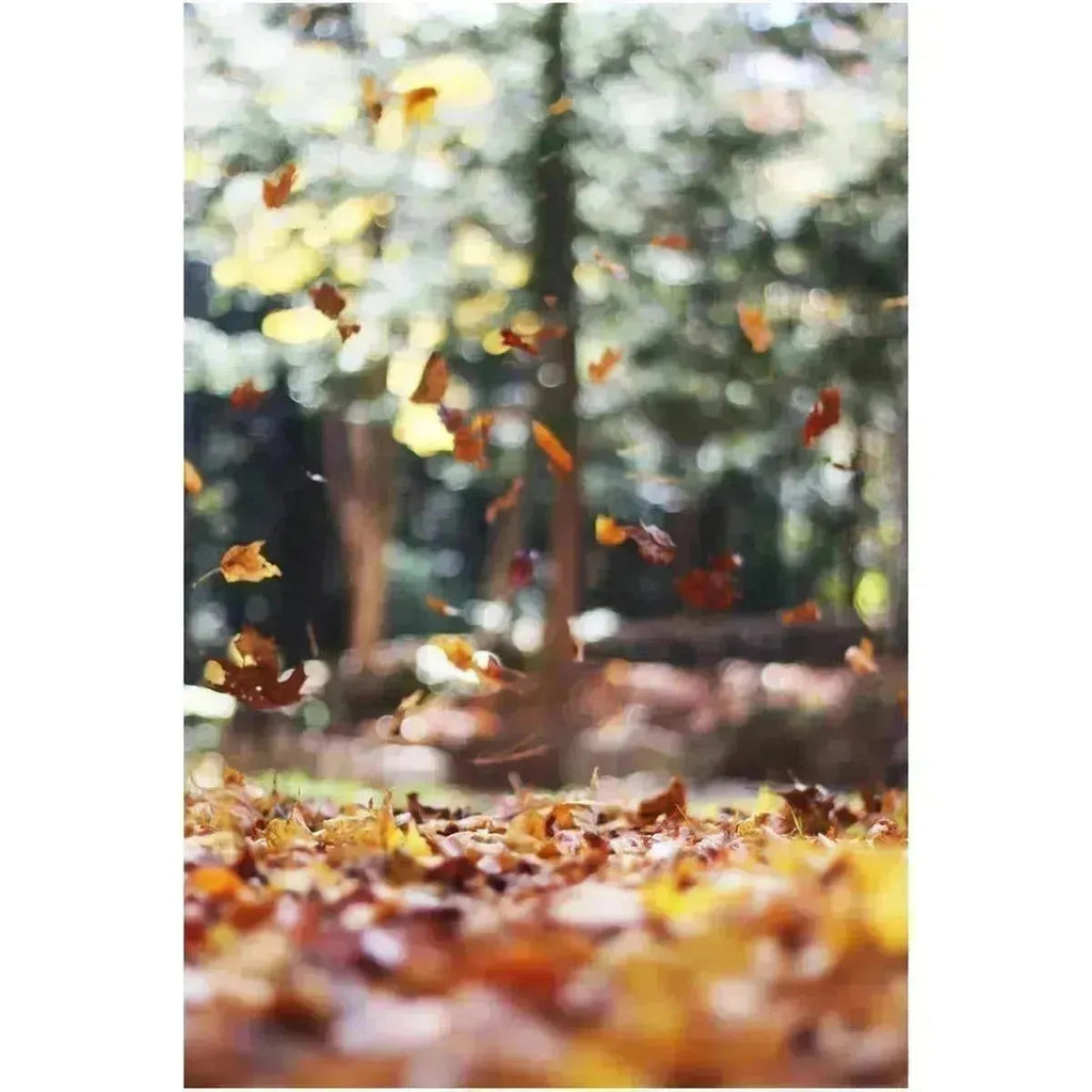 Nicole's Fall Must-Haves
