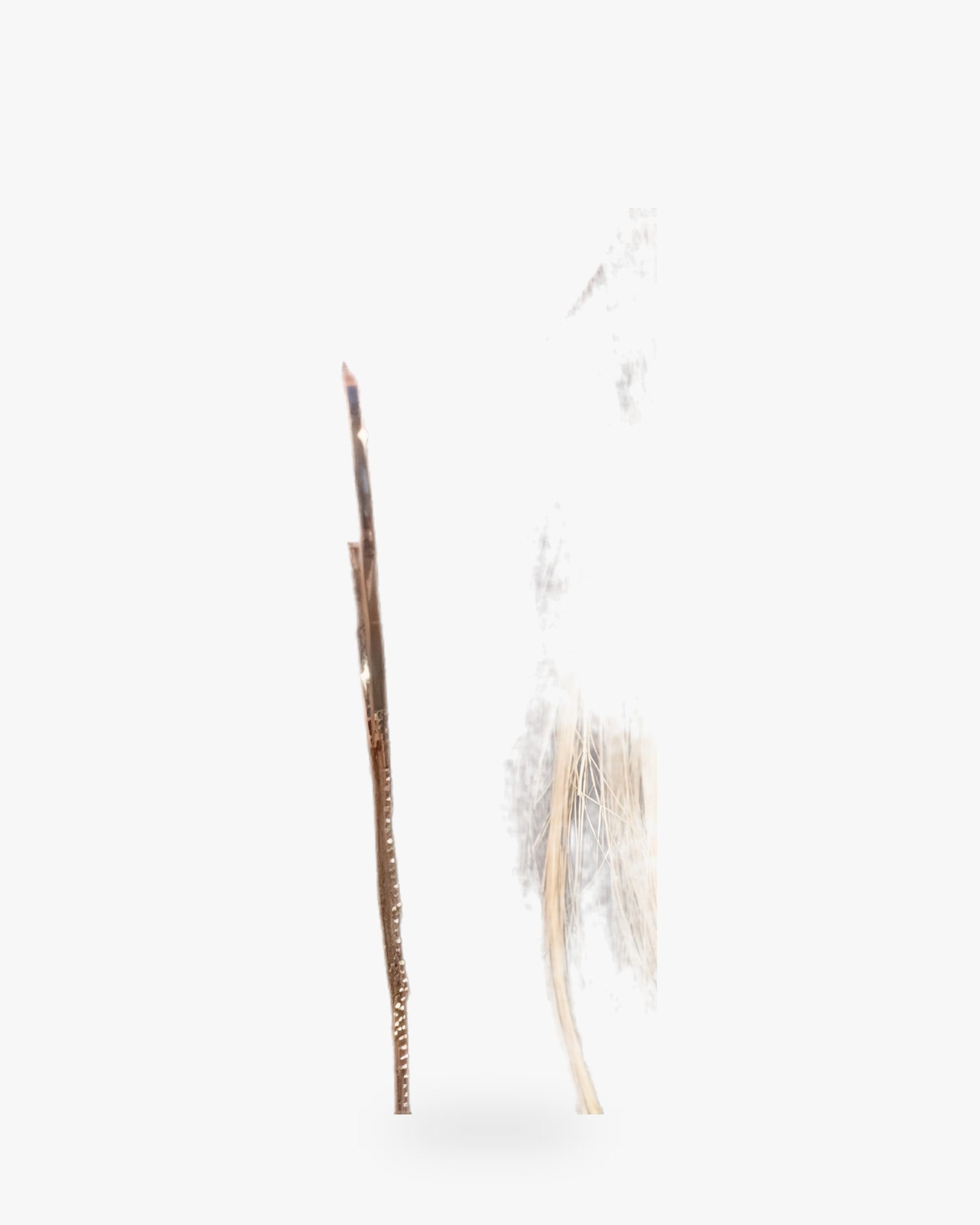 Chan Luu Horn Petite Earrings - Queen Anna House of Fashion