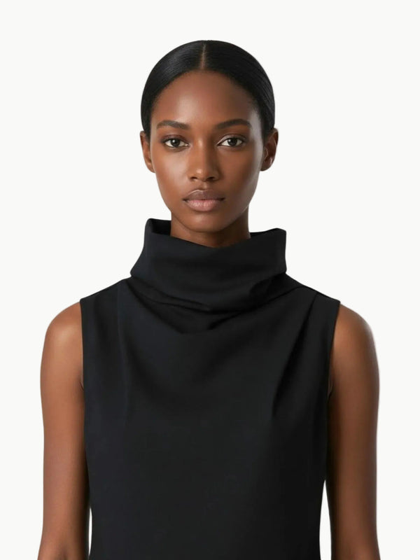 Article X Veiled Turtleneck Top