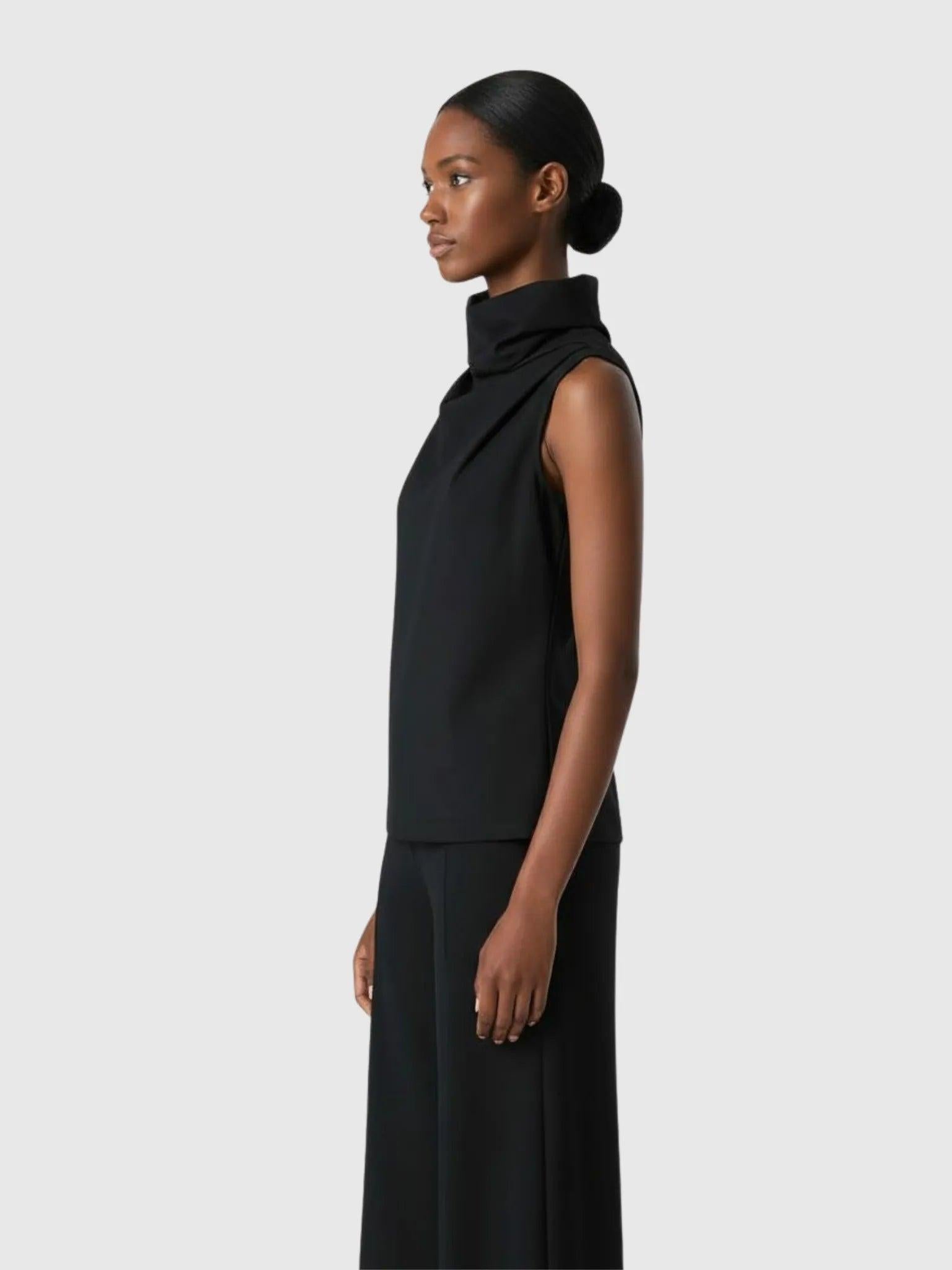 Article X Veiled Turtleneck Top