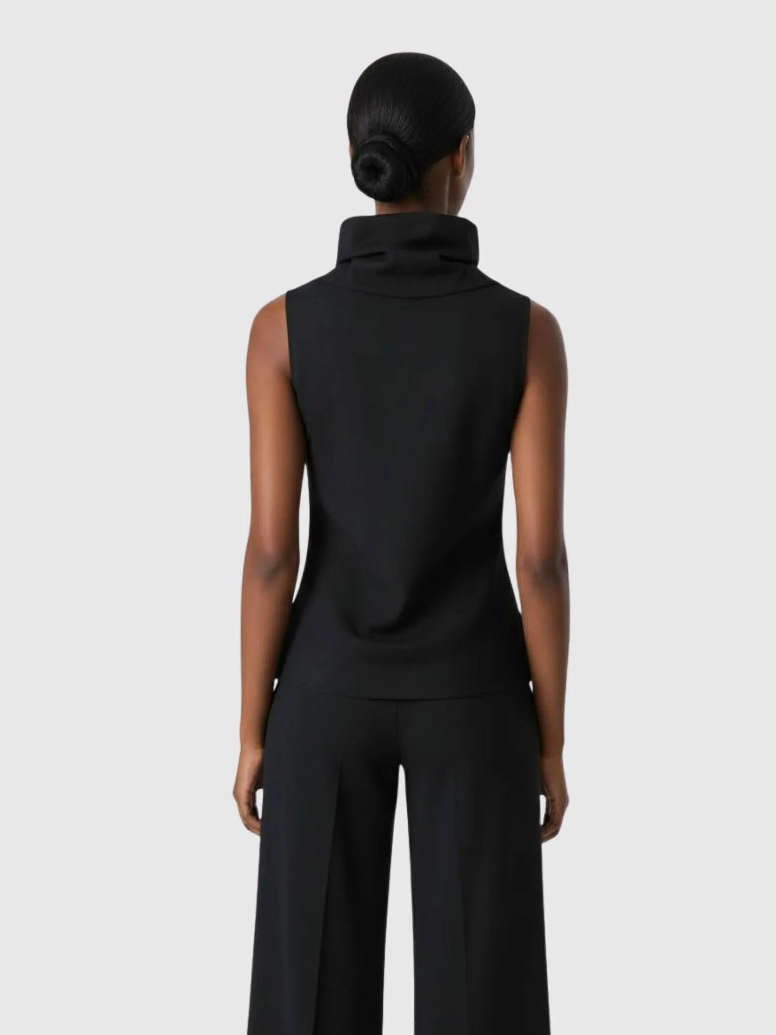 Article X Veiled Turtleneck Top
