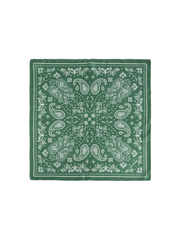 Lost Pattern NYC Lost Pattern NYC Paisley Silk Bandana Scarf in Sagebrush Green - Accessories | Queen Anna House of Fashion Women's Luxury Fashion