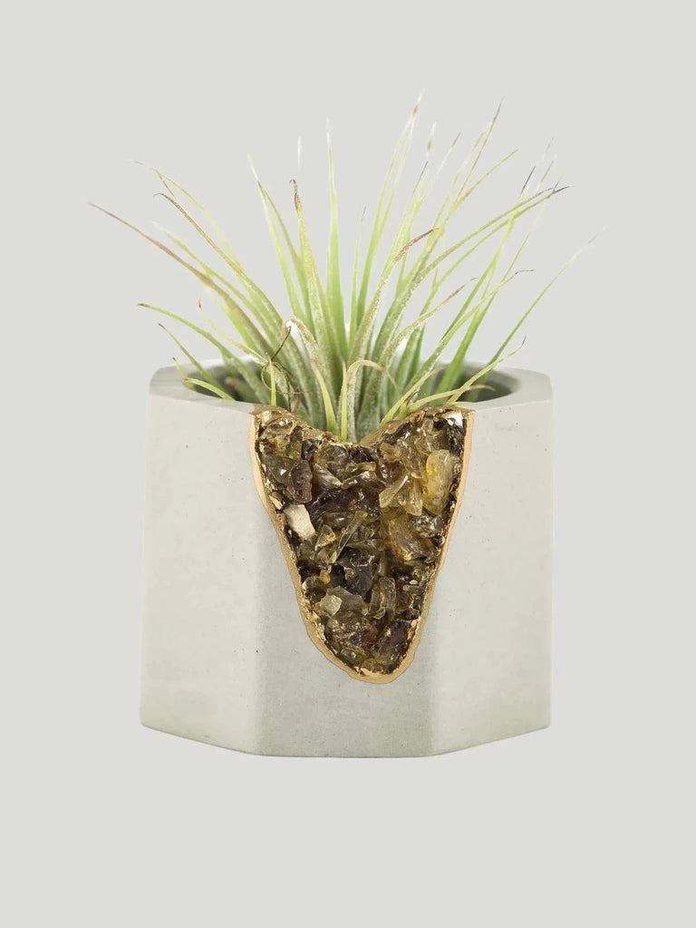 Tal & Bert Natural Geode Vessel - BIPOC Brand, Black, Black Owned Brand, Gold, Philanthropic Brand, Small Goods - Luxury Women's Fashion at Queen Anna House of Fashion