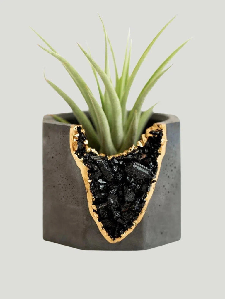 Tal & Bert Natural Geode Vessel - BIPOC Brand, Black, Black Owned Brand, Gold, Philanthropic Brand, Small Goods - Luxury Women's Fashion at Queen Anna House of Fashion