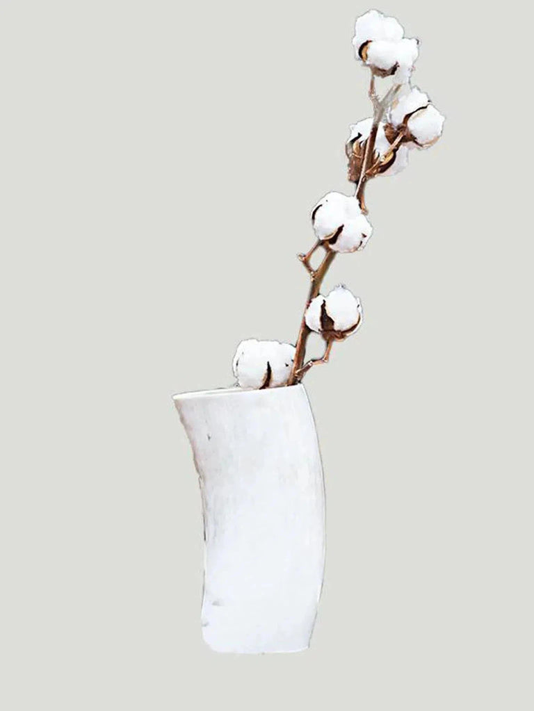 Tribe and Glory Ankole Cattle Horn Vase - Accessories, Horn, Philanthropic Brand, Small Goods - Luxury Women's Fashion at Queen Anna House of Fashion