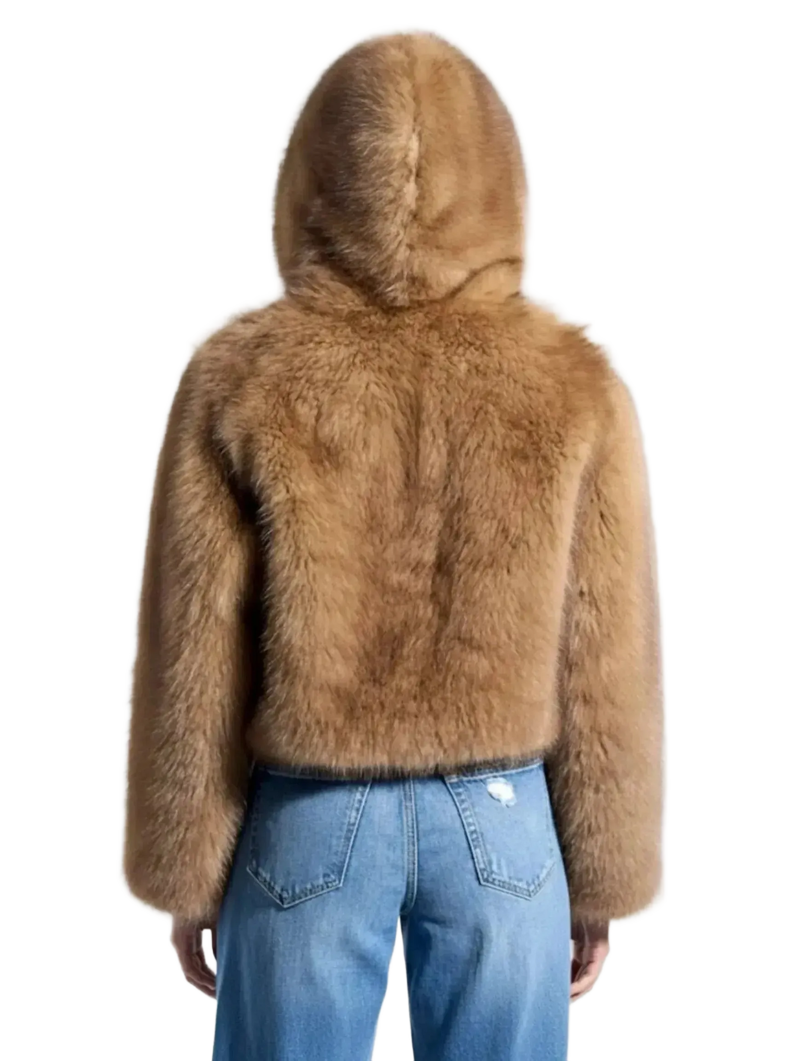 Azalea Wang Azalea Wang SUGAR Teddy Bear Coat in S - Outerwear | Queen Anna House of Fashion Women's Luxury Fashion