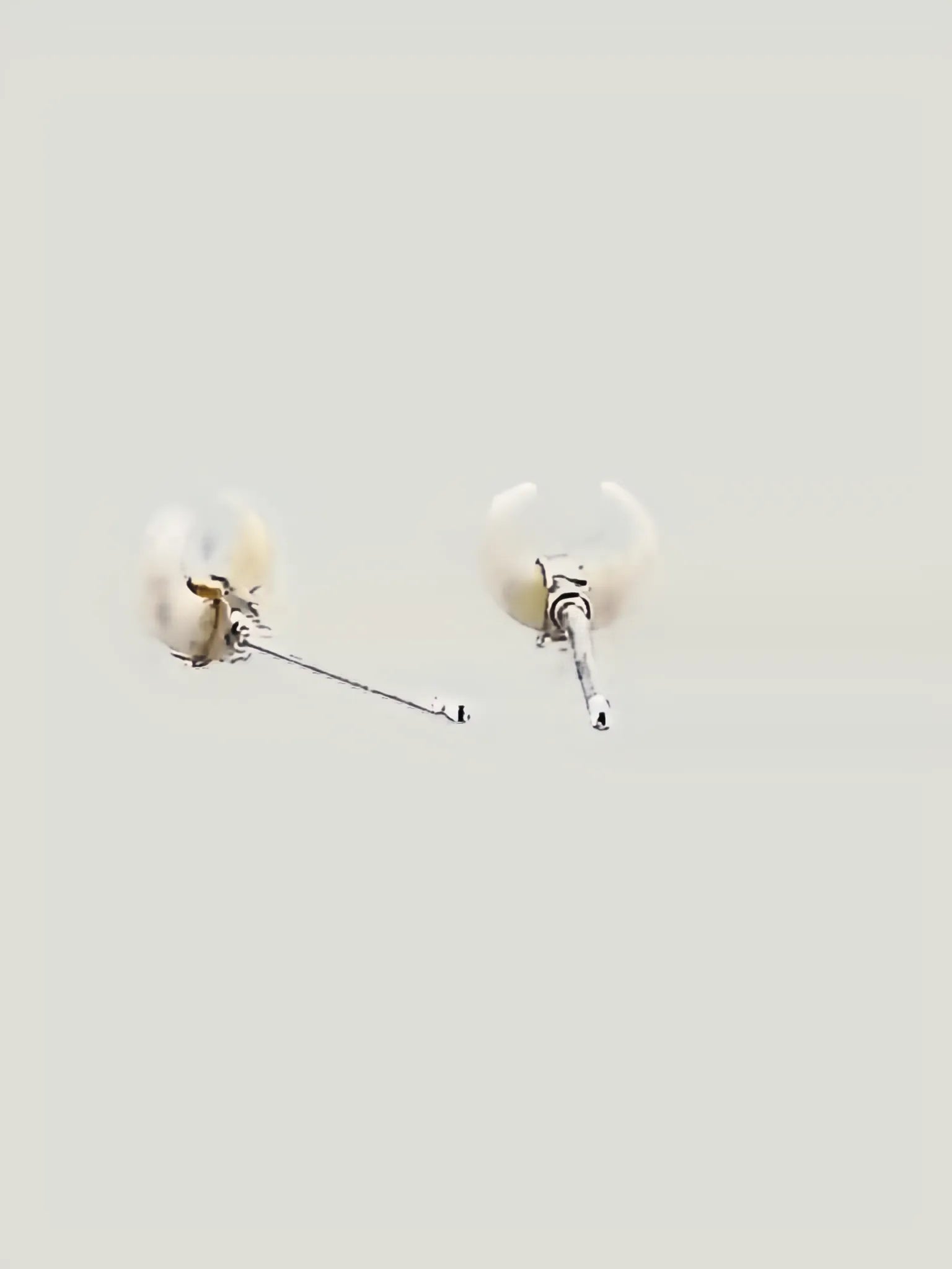 Chan Luu Chan Luu Horn Petite Earrings in BLACK HORN - Jewelry | Queen Anna House of Fashion Women's Luxury Fashion