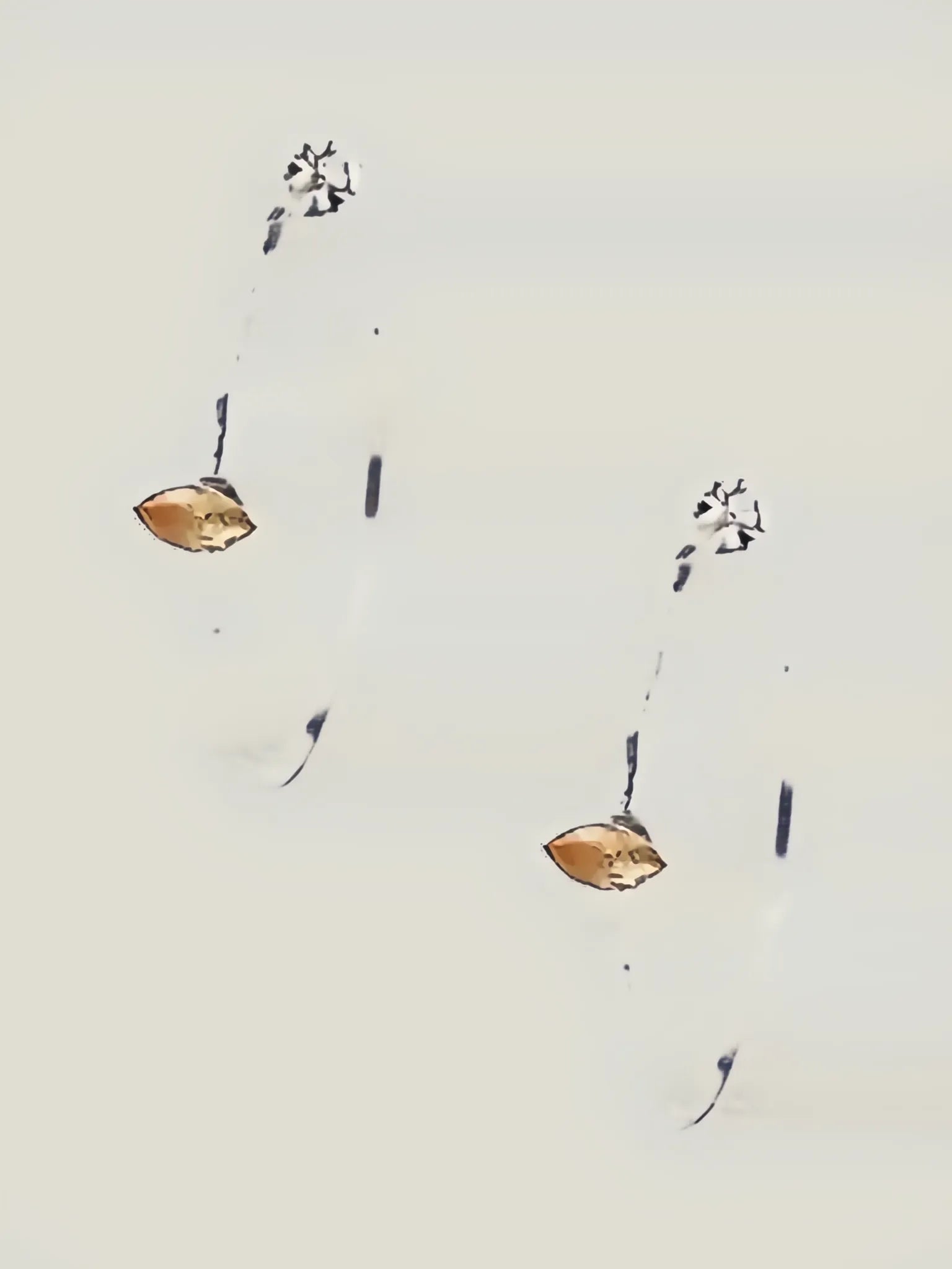 Chan Luu Chan Luu Semi Precious Stone Earrings in CITRINE - Jewelry | Queen Anna House of Fashion Women's Luxury Fashion