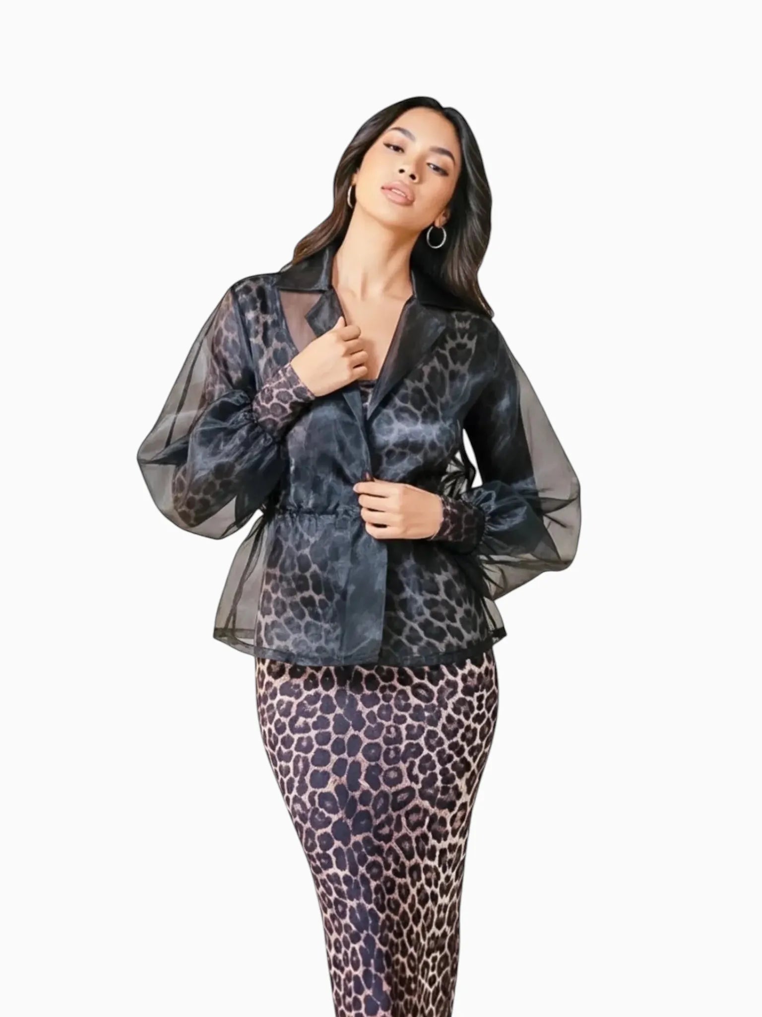 Touché Privé Touché Privé Sheer Organza Jacket in Black - Outerwear | Queen Anna House of Fashion Women's Luxury Fashion