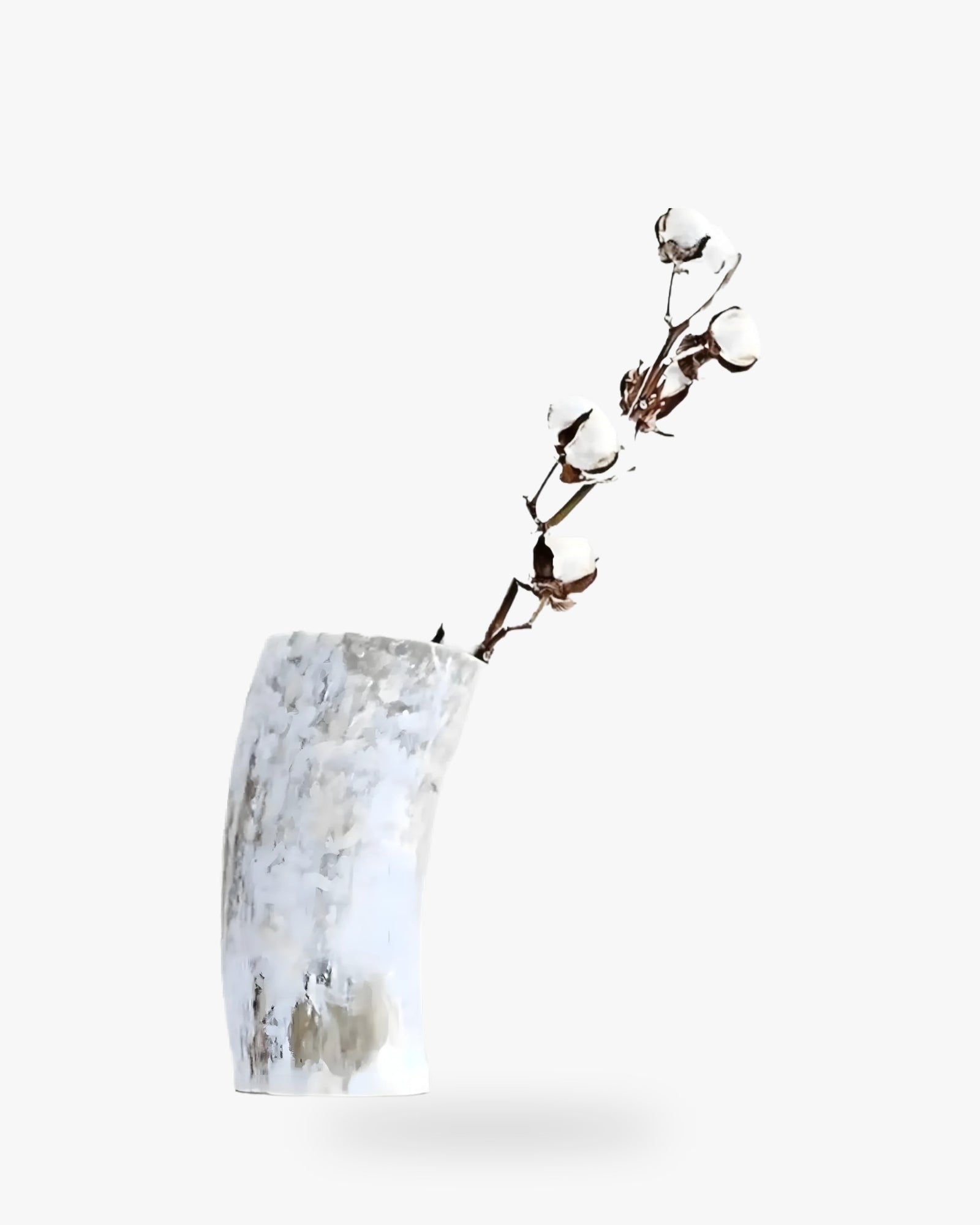 Tribe and Glory Ankole Cattle Horn Vase - Queen Anna House of Fashion