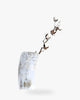 Tribe and Glory Ankole Cattle Horn Vase - Queen Anna House of Fashion